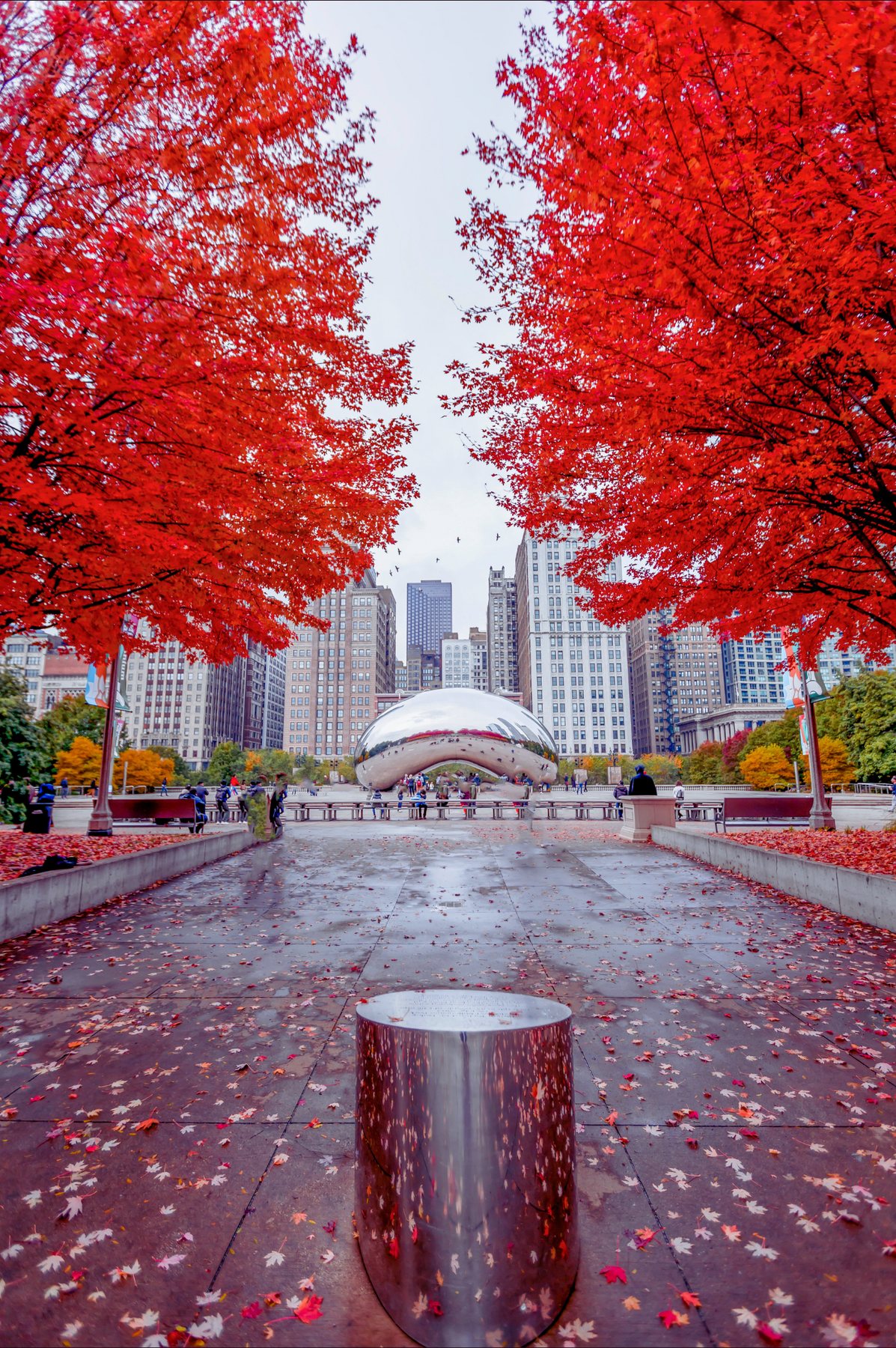 Red autumn trees framing a Chicago plaza and the skyline beyond